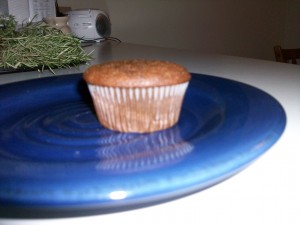 gingerbread004