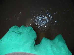 DSCN1150